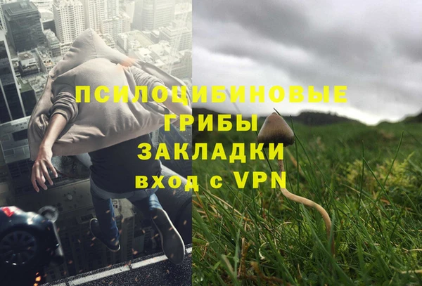 spice Киреевск