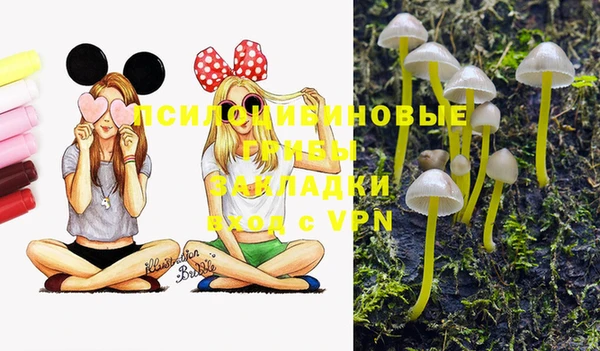 кокс Кинешма