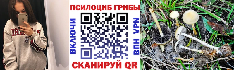 Галлюциногенные грибы мухоморы  наркошоп  Прокопьевск 