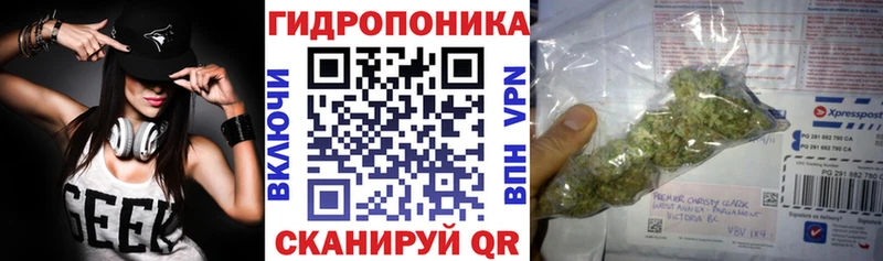 дарнет шоп  Прокопьевск  Шишки марихуана AK-47 